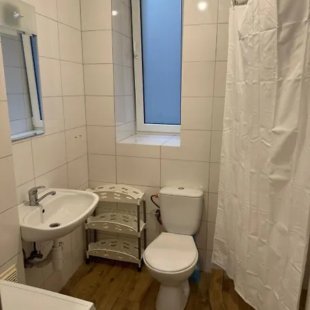 нечуя-левицького Daire