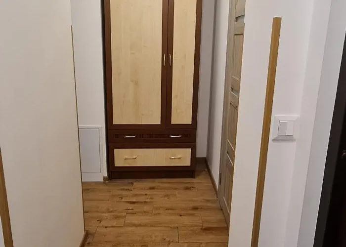 нечуя-левицького